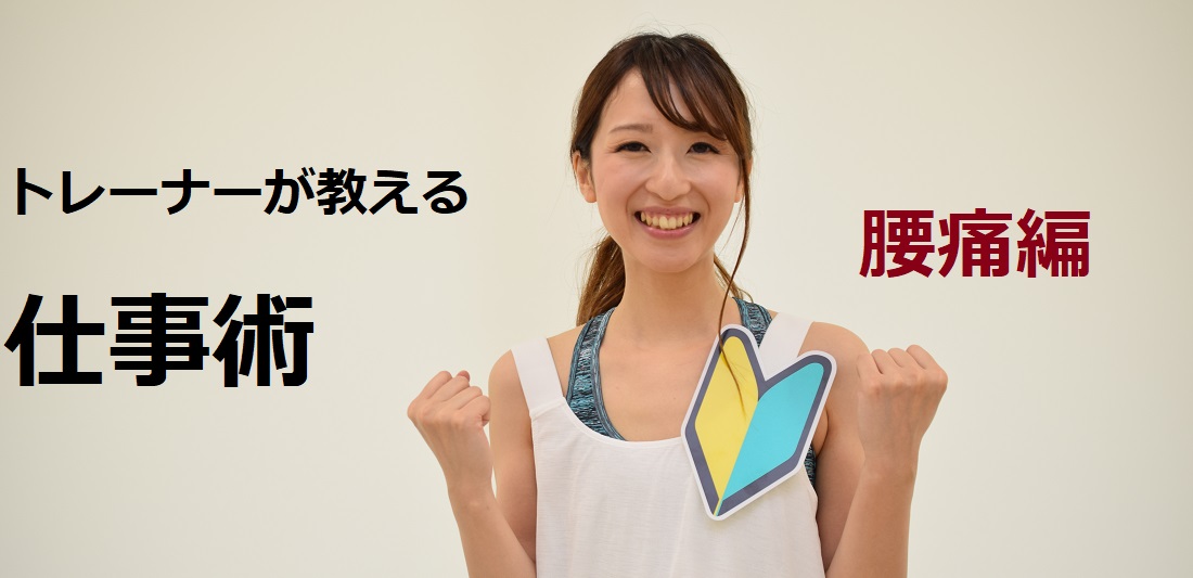 JOBSTYLINGiWuX^COjbg[i[dpI@`ɕҁ`